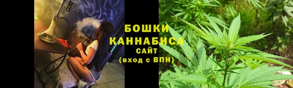 спайс Медвежьегорск