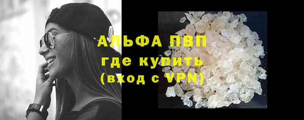 крисы Магас