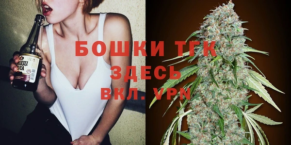 крисы Магас