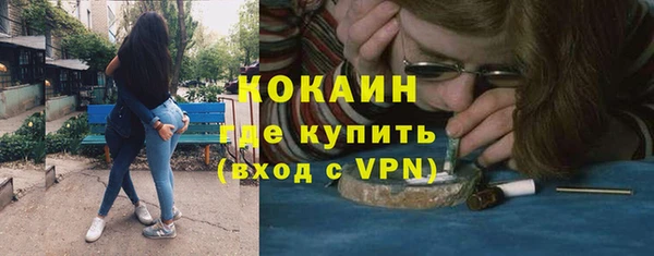 крисы Магас