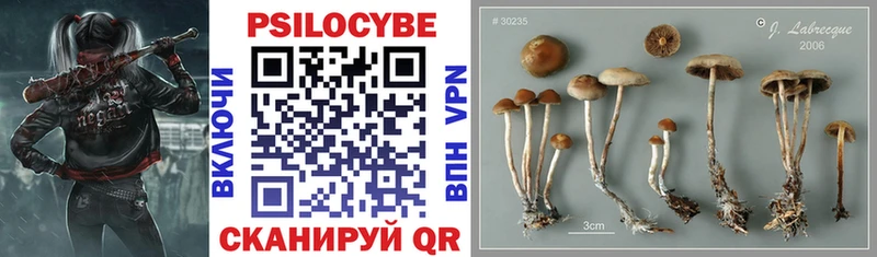 Псилоцибиновые грибы MAGIC MUSHROOMS  KRAKEN зеркало  Чернушка 