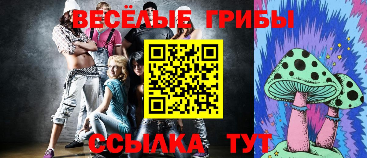 Галлюциногенные грибы Psilocybine cubensis  Вход с VPN  Чернушка  Галлюциногенные грибы Psilocybine cubensis 