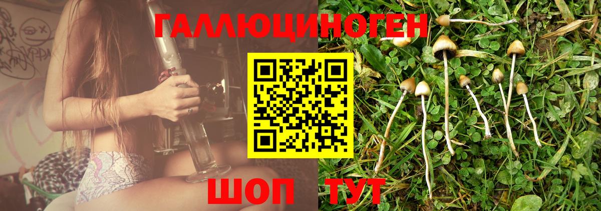 Галлюциногенные грибы прущие грибы Чернушка